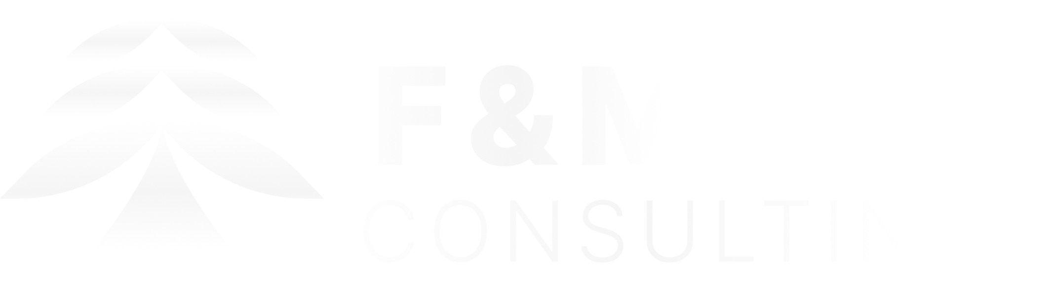 FmGlobalConsulting